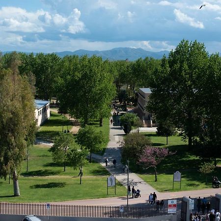 Boutique Apartment Vista Sul Parco Olbia Eksteriør billede